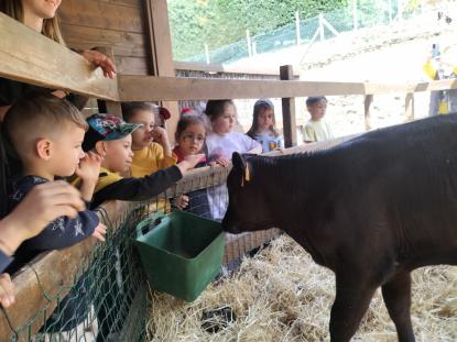 EXCURSI�N DE 5� DE INFANTIL - Foto 1