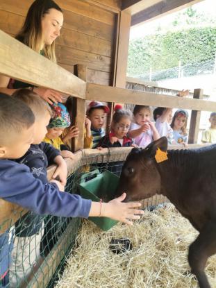 EXCURSI�N DE 5� DE INFANTIL - Foto 13