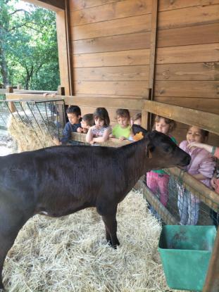 EXCURSI�N DE 5� DE INFANTIL - Foto 14