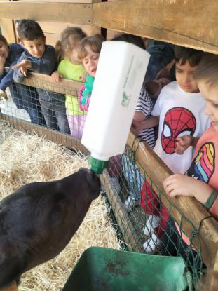 EXCURSI�N DE 5� DE INFANTIL - Foto 15