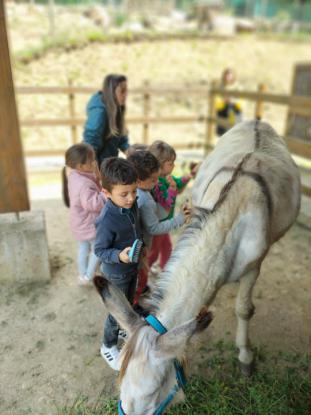 EXCURSI�N DE 5� DE INFANTIL - Foto 18