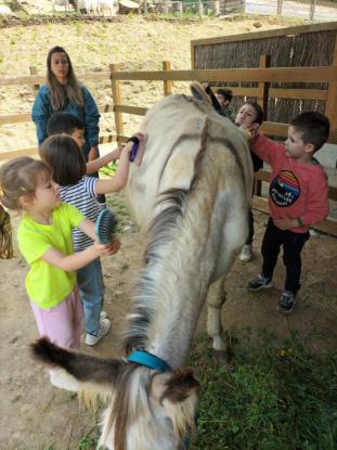 EXCURSI�N DE 5� DE INFANTIL - Foto 17