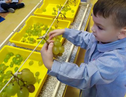 VENDIMIANDO EN 4� DE INFANTIL - Foto 21